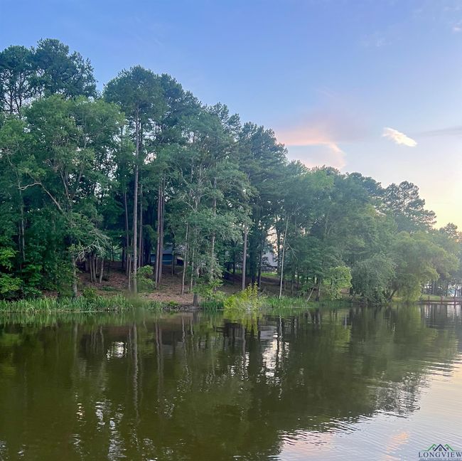 17961 Gordons Landing Rd, Home with 0 bedrooms, 0 bathrooms and null parking in Arp TX | Image 11