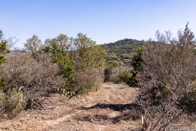 2400 Little Dry Frio Rd, Home with 0 bedrooms, 0 bathrooms and null parking in Rio Frio TX | Image 9