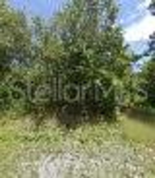 245 N Romero St, Clewiston, FL, 33440 | Card Image