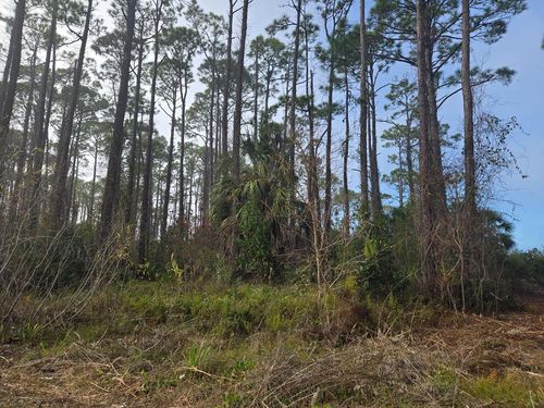 0 Eventide Dr, Port Saint Joe, FL, 32456 | Card Image