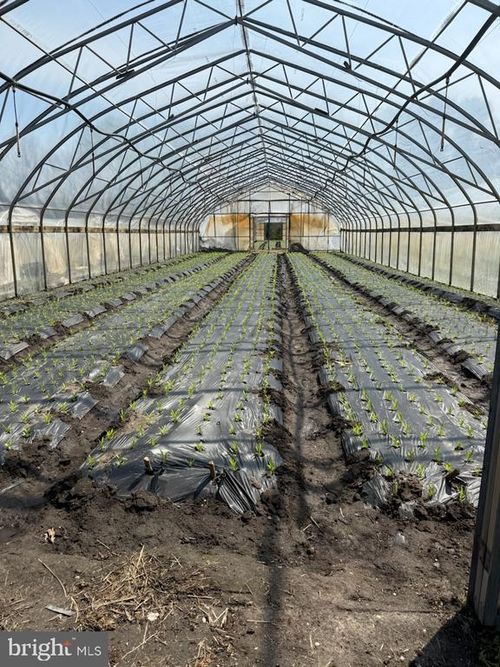 427 Isaac Budd Rd, Southampton, NJ, 08088-3418 | Card Image