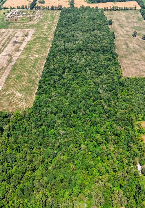 73325 Henderson Rd, Wellandport, ON, L0R2J0 | Card Image