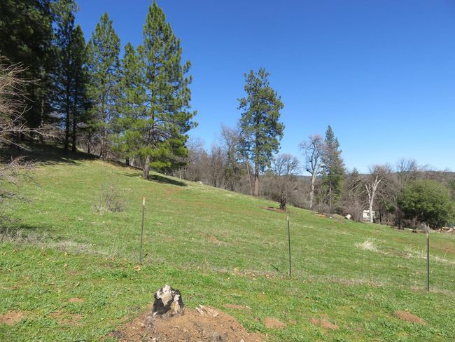 4196 Bald Mountain Rd, Home with 0 bedrooms, 0 bathrooms and null parking in West Point CA | Image 8