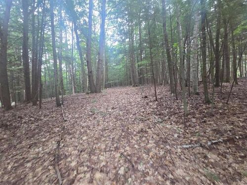 Map 09 Lot 39 Gould Pond Road, Hillsborough, NH, 03244 | Card Image