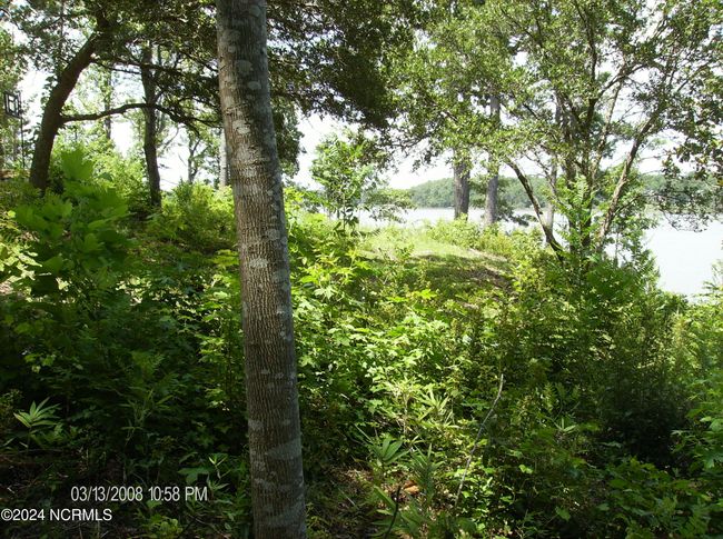 135 E High Bluff Dr, Home with 0 bedrooms, 0 bathrooms and null parking in Hampstead NC | Image 5