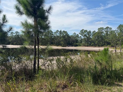 TBD Malauka Pass Trail, Ocklawaha, FL, 32179 | Card Image