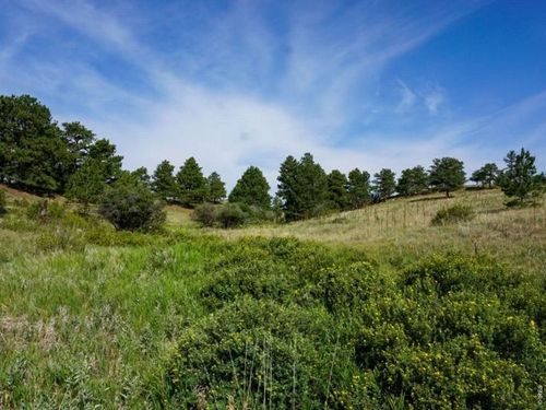 0 Stub Ct, Livermore, CO, 80536 | Card Image