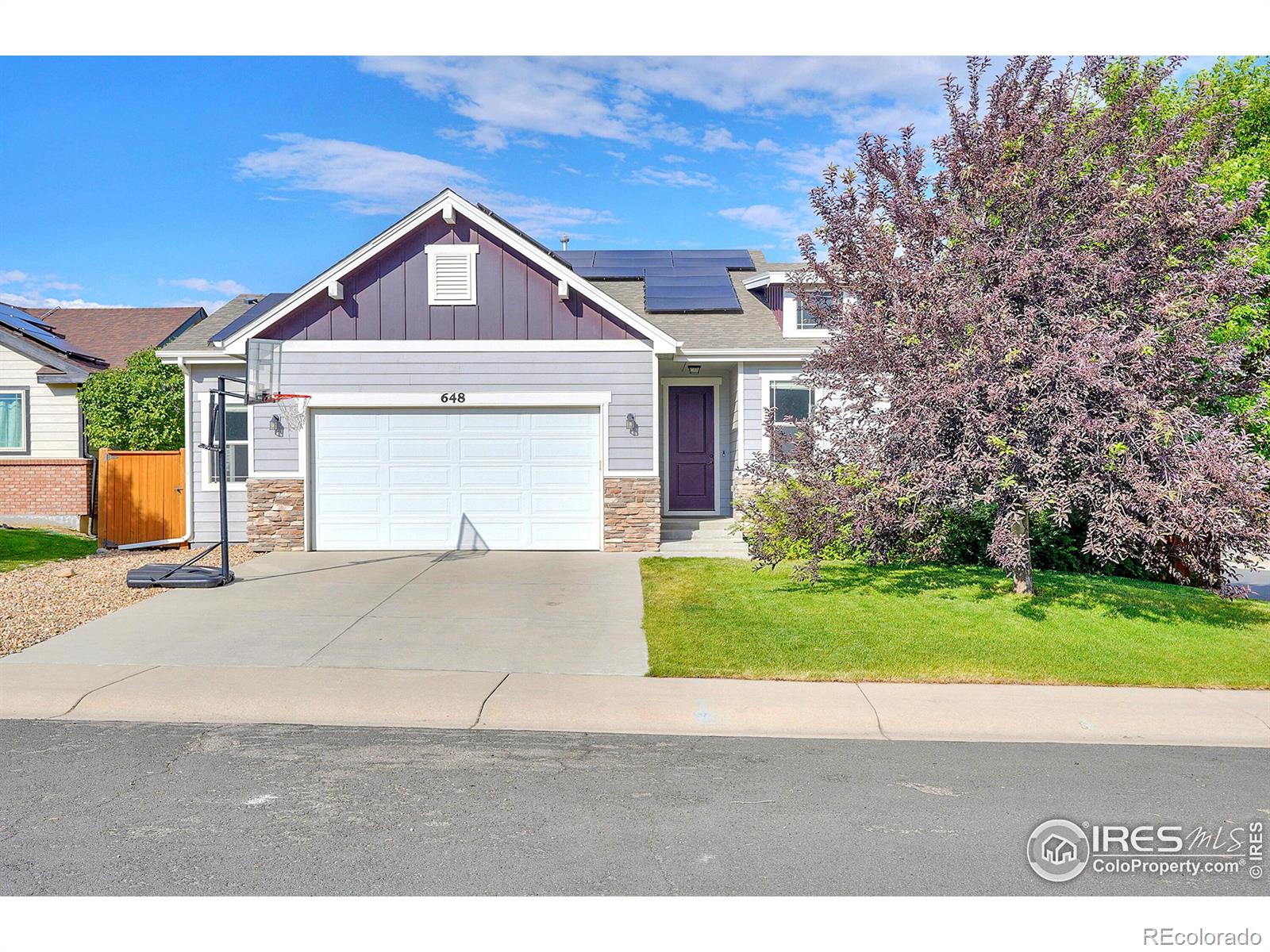 Foxtail Way, Severance, CO 80550