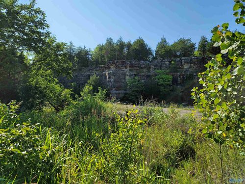 1 Union Hill Rd, Somerville, AL, 35670-5448 | Card Image