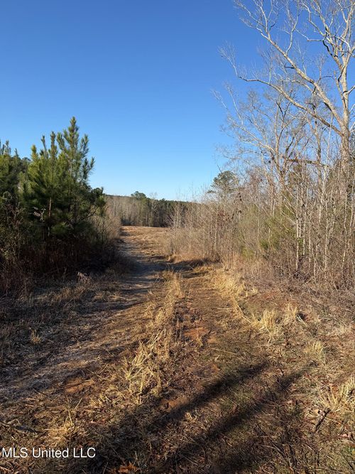 5547 Rocky Point Rd, Carthage, MS, 39051-9798 | Card Image