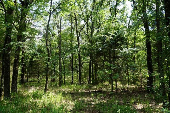 01 Private Rd 5401, Home with 0 bedrooms, 0 bathrooms and null parking in Malakoff TX | Image 22