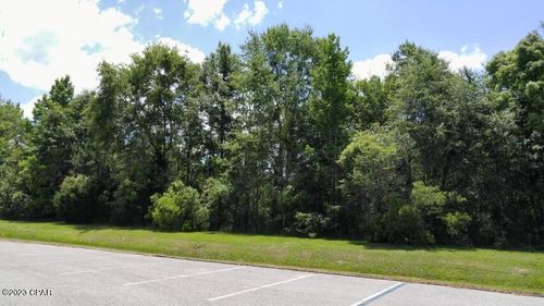 XX Nw Lake Mystic Duggar Rd, BRISTOL, FL, 32321 | Card Image