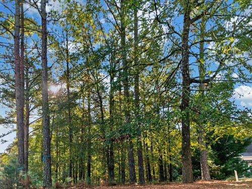 66-1051 Bridle Bit Lane, Greensboro, GA, 31024 | Card Image