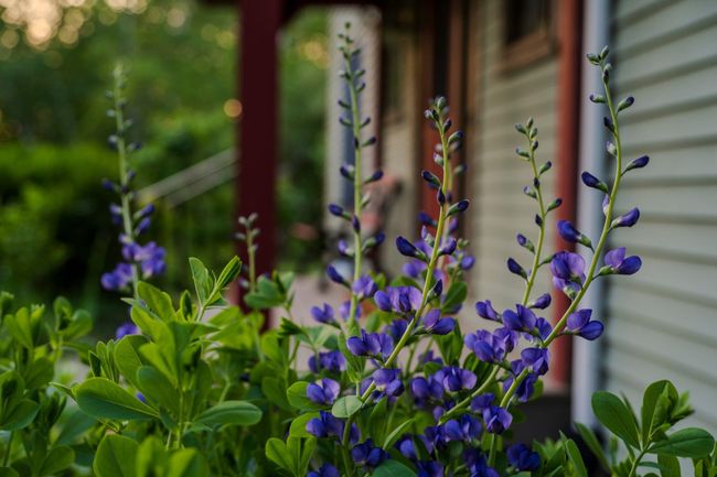 104 Juniper Ridge Rd, House other with 3 bedrooms, 4 bathrooms and null parking in Brattleboro VT | Image 52