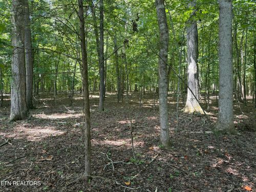 133 Padstow Lane, Lenoir City, TN, 37772 | Card Image