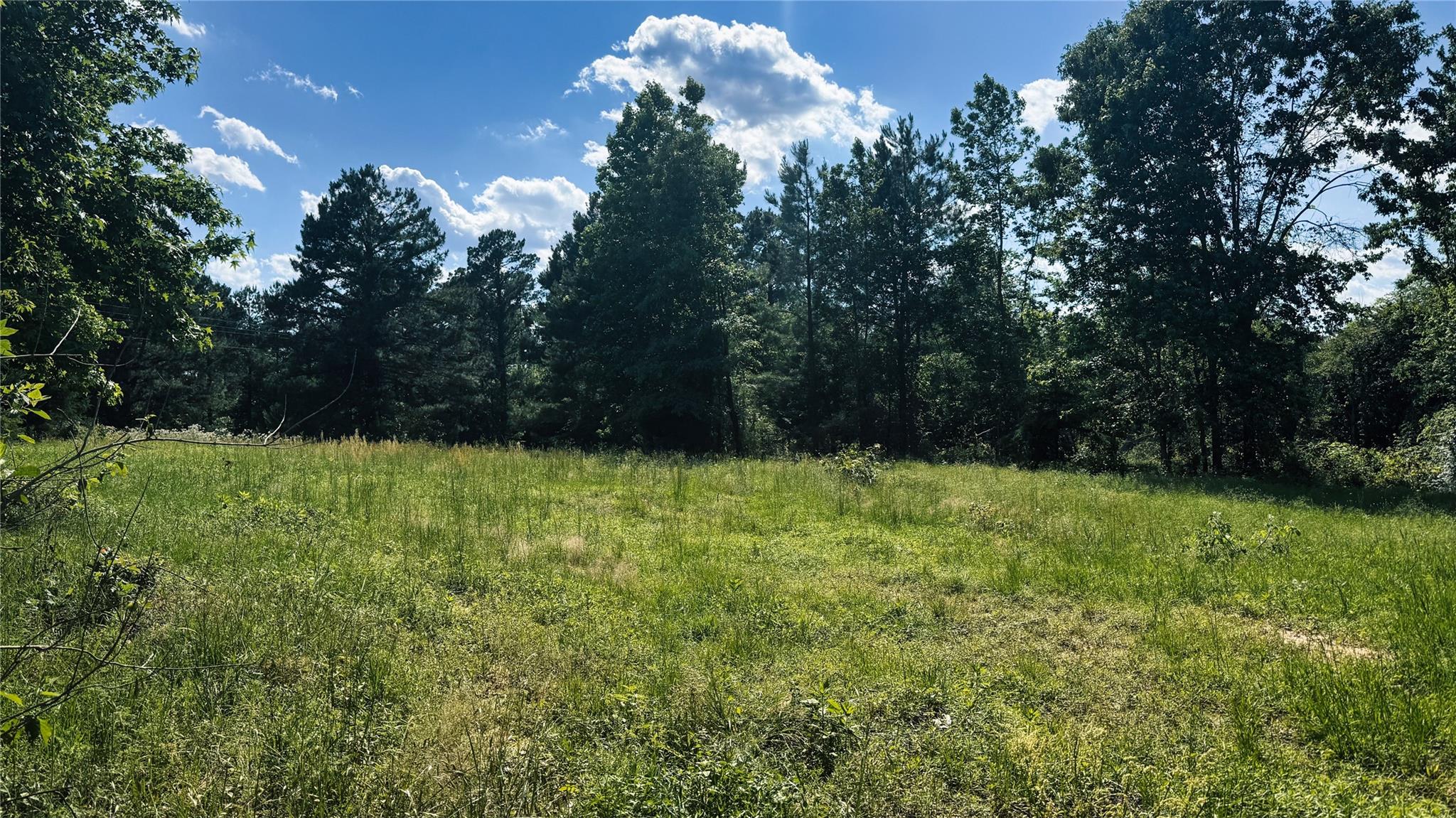Land in Henderson 3