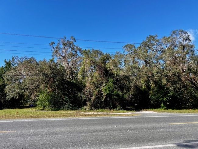 1609 N Main St, Home with 0 bedrooms, 0 bathrooms and null parking in Bell FL | Image 4