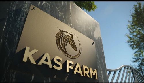 {{alt}} | Card Image