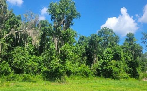 TBD State Road 51, Live Oak, FL, 32060 | Card Image