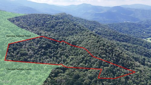 1126 Log Cabin Ln, Roan Mountain, TN, 37687 | Card Image