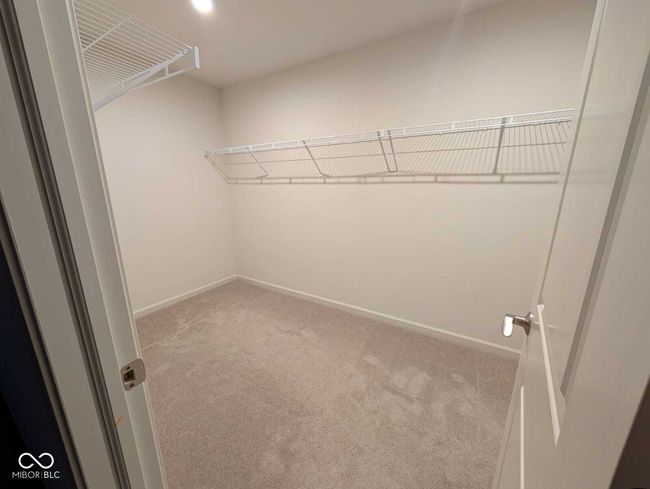 walk in closet featuring carpet | Image 41