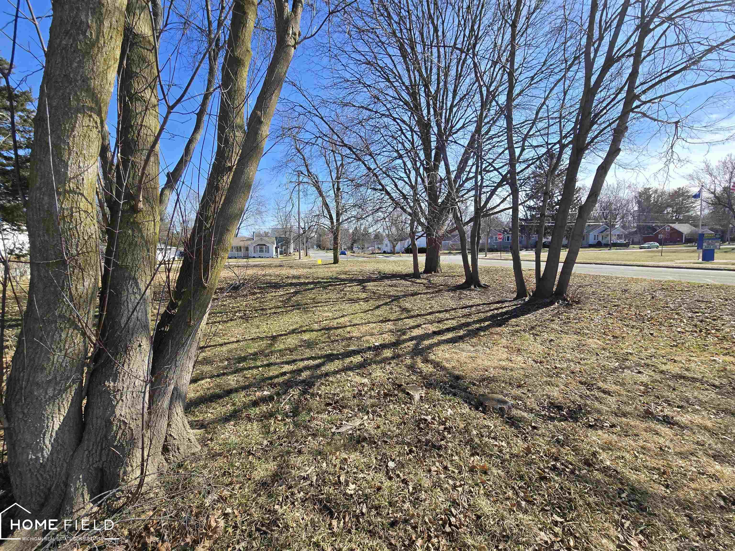 Cedar St, Owosso, MI 48867