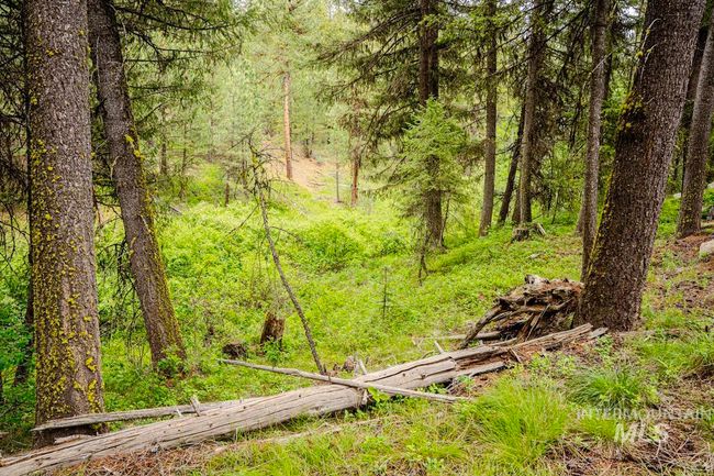 6 Three Point Rd, House other with 4 bedrooms, 3 bathrooms and 2 parking in Cascade ID | Image 5