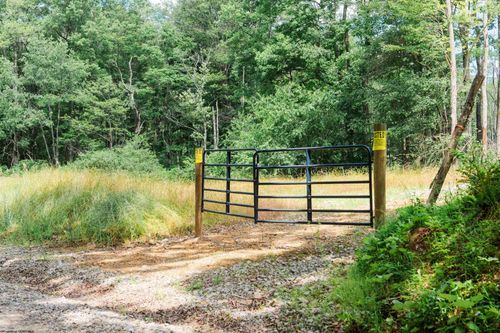 TBD Eagles Nest Road, Bruceton Mills, WV, 26525 | Card Image