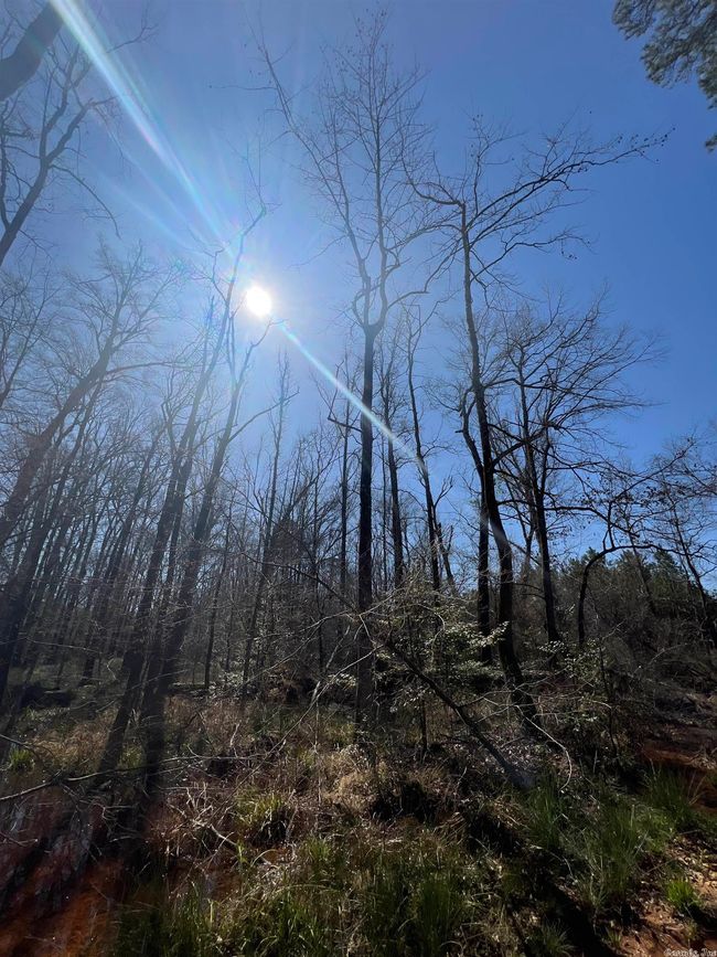 00 Nevada County 175 Road, Home with 0 bedrooms, 0 bathrooms and null parking in Rosston AR | Image 9