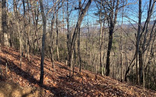 LOT25 Laurel Mountain Dr, Brasstown, NC, 28902 | Card Image