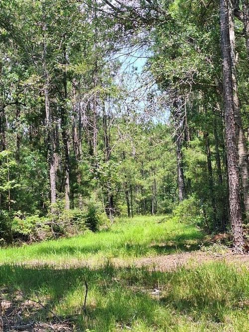 tract-2-6801 Private Road 8235, Buna, TX, 77612 | Card Image