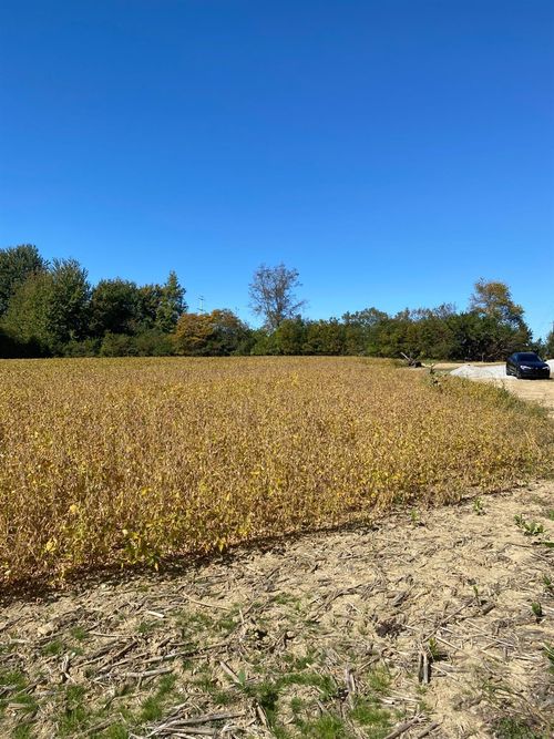Lot 3001 Morrow Cozaddale Rd, Morrow, OH, 45152 | Card Image