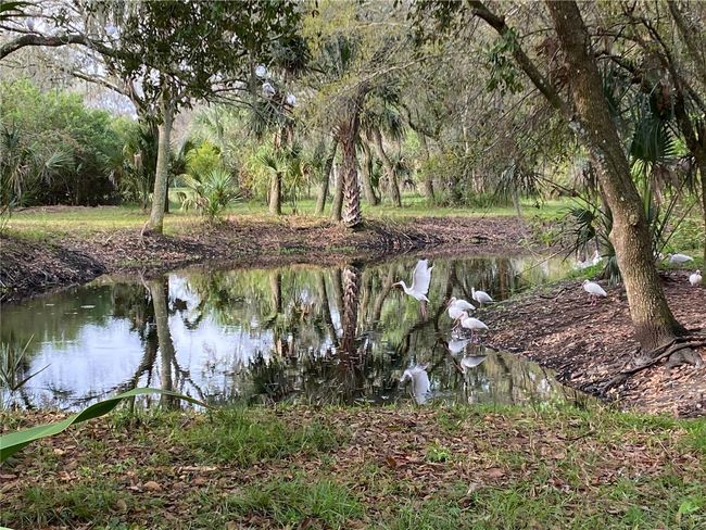 2230 Myakka Rd, House other with 2 bedrooms, 1 bathrooms and null parking in Sarasota FL | Image 71