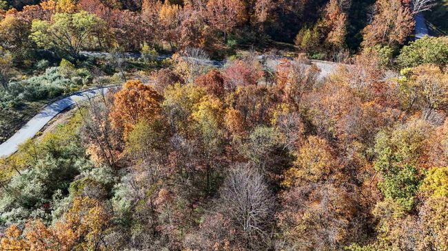 RT-2-WEST-RT-28 - TBD Nutters Fork Road, Home with 0 bedrooms, 0 bathrooms and null parking in West Union WV | Image 9