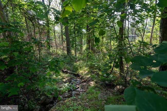 0 Hidden Rd, Home with 0 bedrooms, 0 bathrooms and null parking in LURAY VA | Image 28