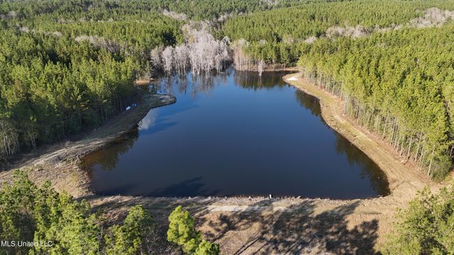 Lake 5 | Image 10