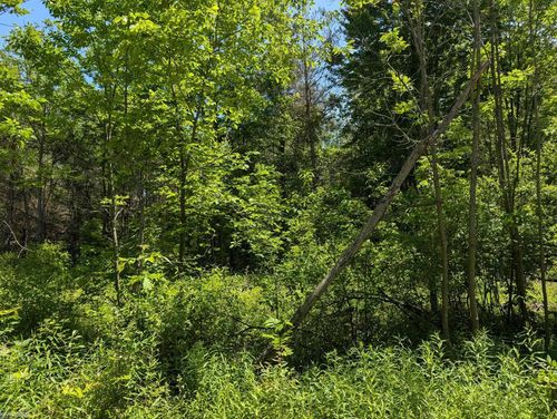 000 Fox Rd, Goodells, MI, 48027 | Card Image