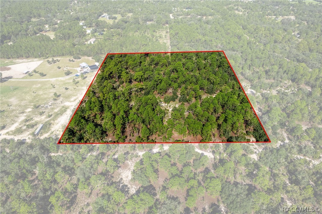 Land in Dunnellon 5