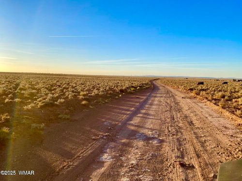 TBD Hodges Ln 39.05 Acres, Holbrook, AZ, 86025 | Card Image