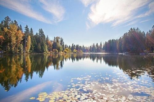 14411 200th Ave Se, Renton, WA, 98059-8137 | Card Image