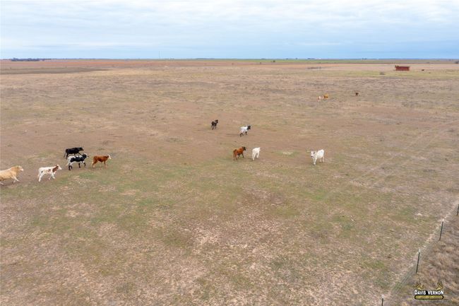 Birds eye view of property featuring a rural view | Image 21