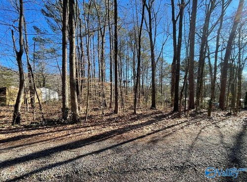 LOT 3 Kristi Lane, Grant, AL, 35747 | Card Image