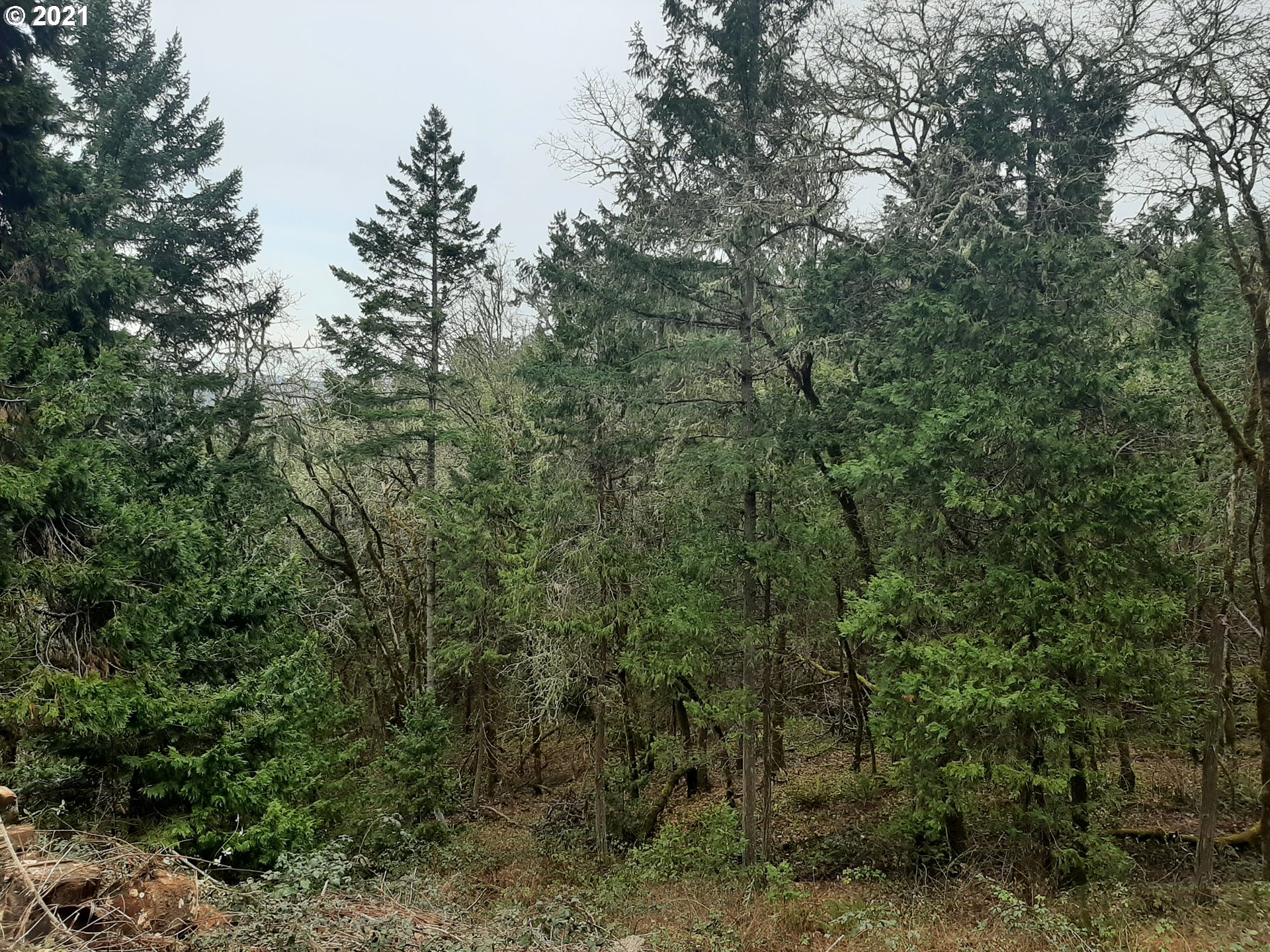 Land in Roseburg 3