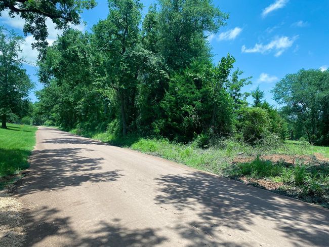 5 W Carrington Ave, Home with 0 bedrooms, 0 bathrooms and null parking in Marquez TX | Image 14