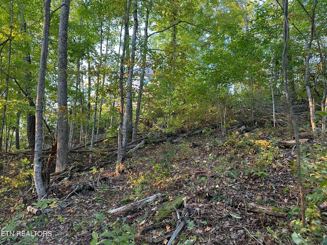 778 Russell Bros Rd, Home with 0 bedrooms, 0 bathrooms and null parking in Sharps Chapel TN | Image 11