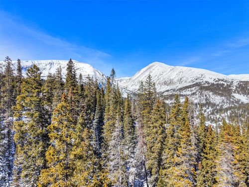 543 Carroll Ln, BRECKENRIDGE, CO, 80424 | Card Image