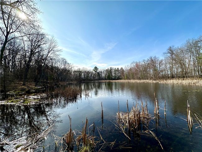 16 295th Street, Home with 0 bedrooms, 0 bathrooms and null parking in Holcombe WI | Image 34