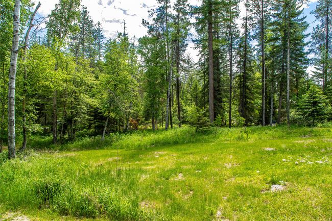 695 Latigo Ln, Home with 0 bedrooms, 0 bathrooms and null parking in Bigfork MT | Image 12