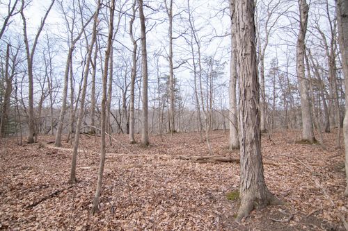 5033 Red Fox Run, Ann Arbor, MI, 48105-9530 | Card Image
