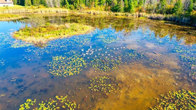 DJI_0251_hdr.jpg | Image 73